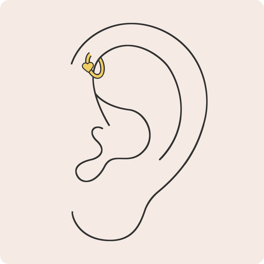 Forward Helix