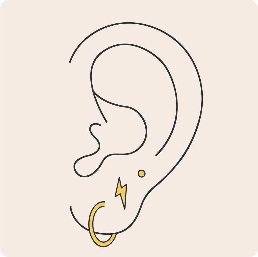 Lobe