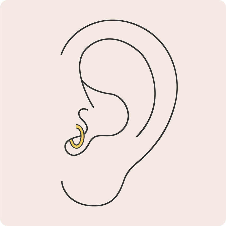 Tragus