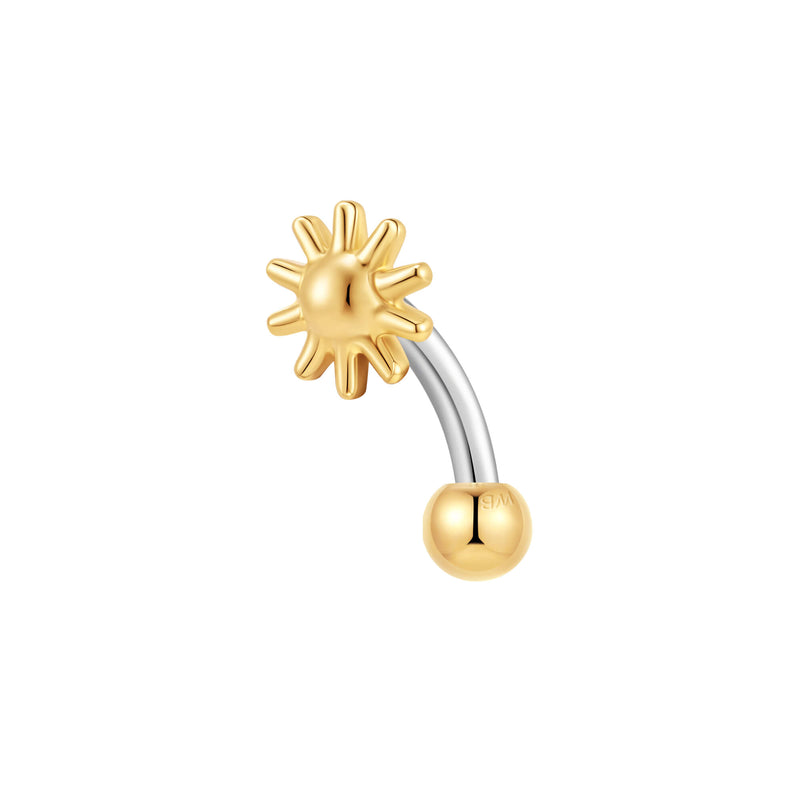 Gold, Curved Barbell Piercing