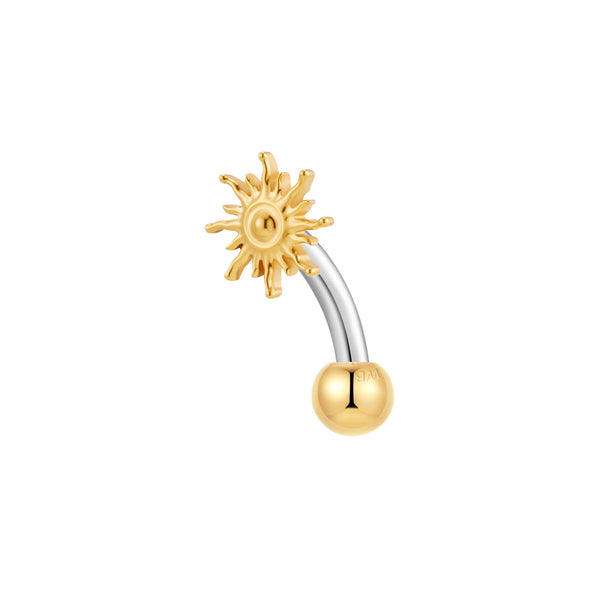 Gold, Curved Barbell Piercing