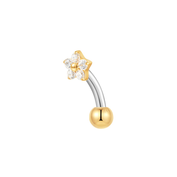 Gold, Curved Barbell Piercing