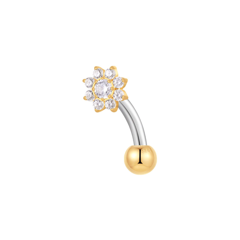 Gold, Curved Barbell Piercing
