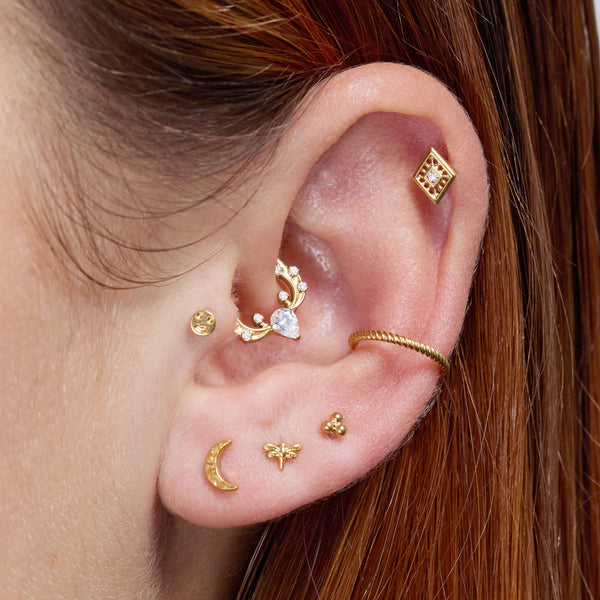 Plain Small Dragonfly Piercing