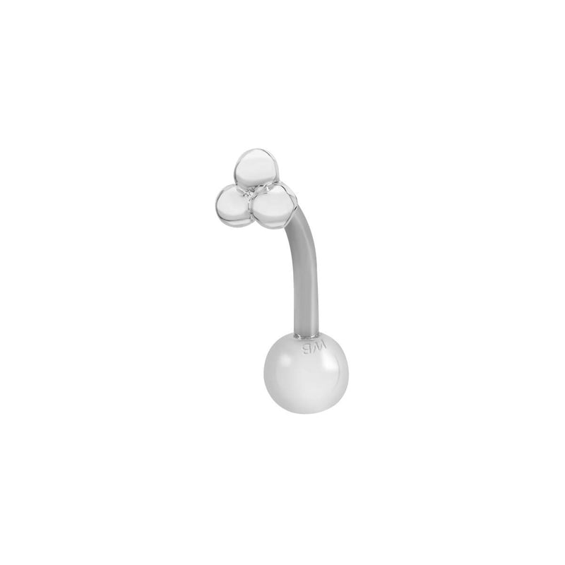 Silver, Curved Barbell Piercing